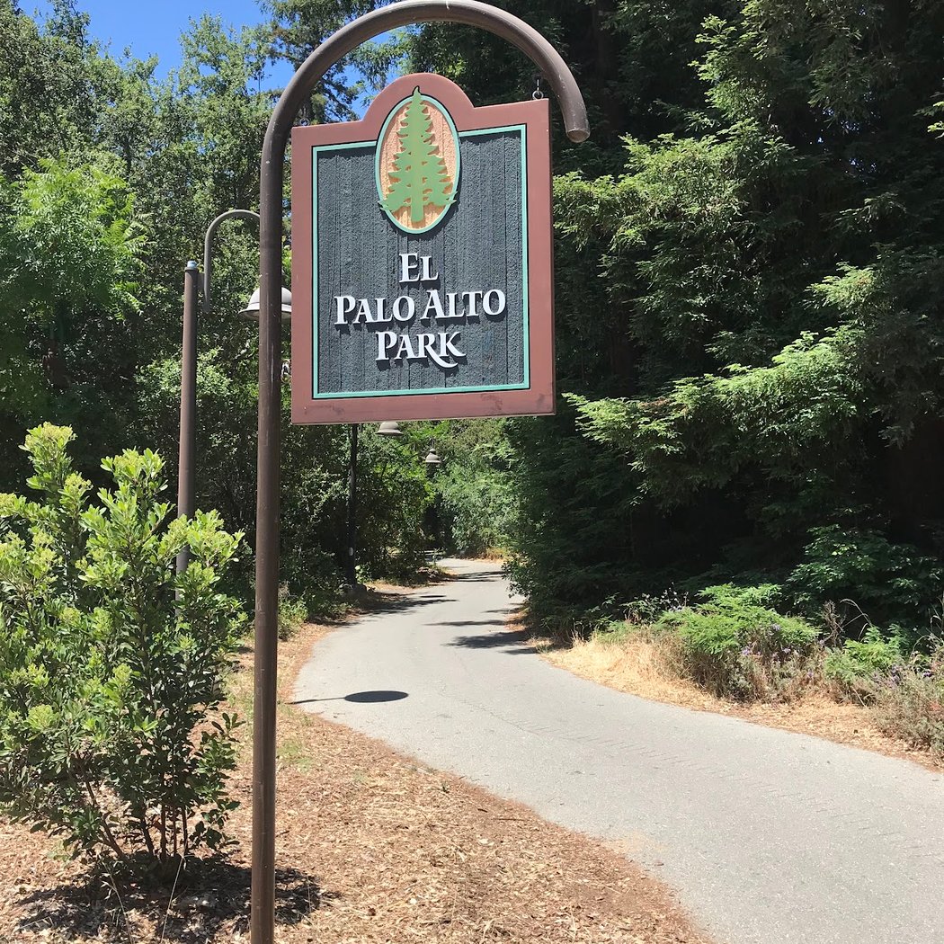 El Palo Alto Park 2