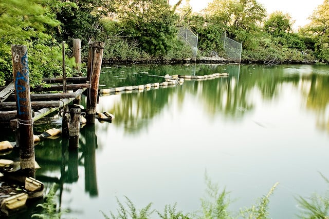 Luyster Creek 1
