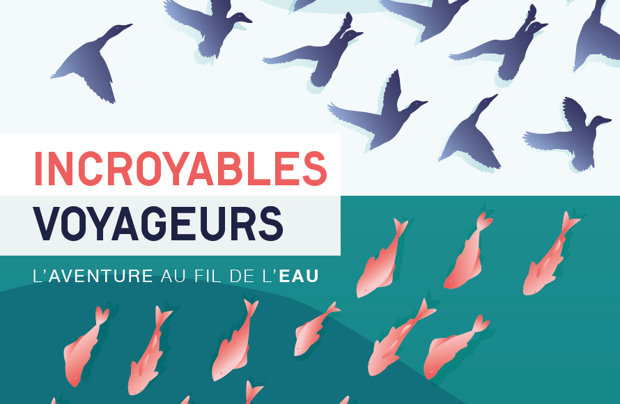 Incroyables Voyageurs 1