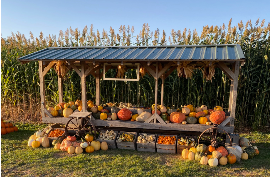 Applefest 3