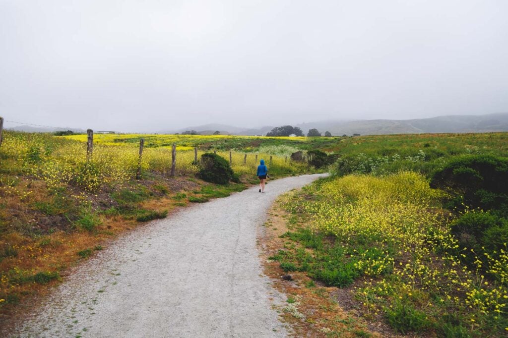 Cowell-Purisima Coastal Trail 3