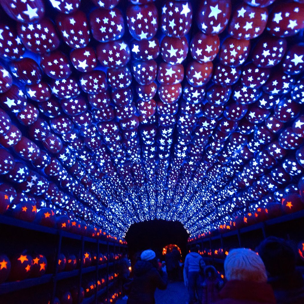 The Great Jack O’Lantern Blaze: Hudson Valley 5