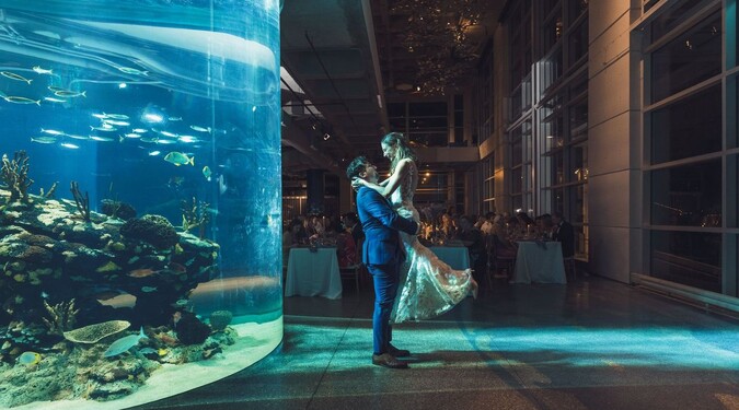 After Hours: Aquarium for Adults 4