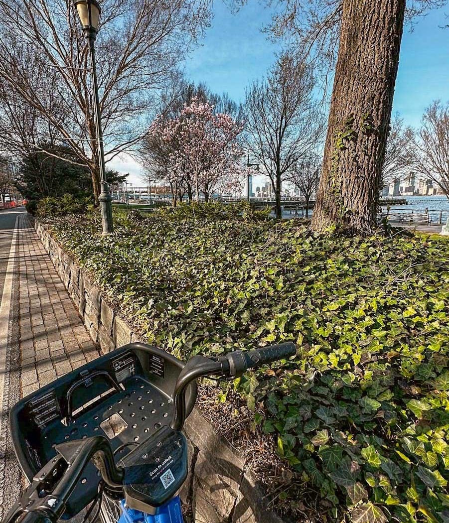Hudson River Waterfront Greenway 2