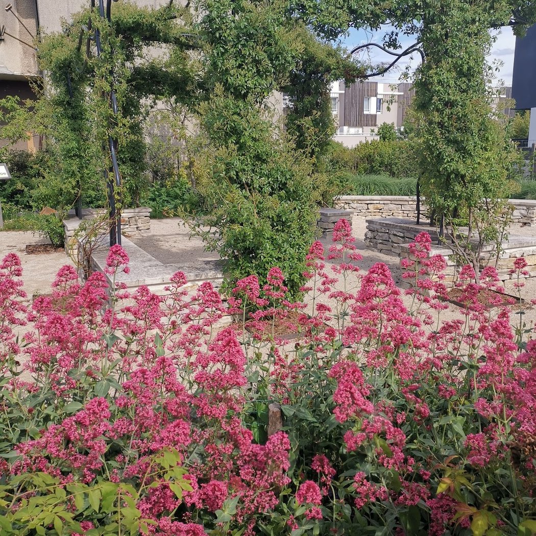 Verger Garden 1