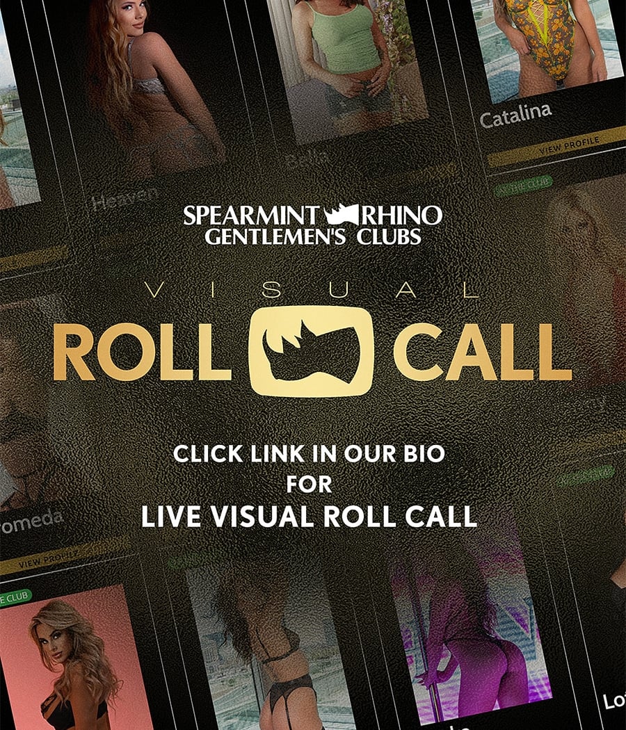 Spearmint Rhino Gentlemen's Club San Jose 2