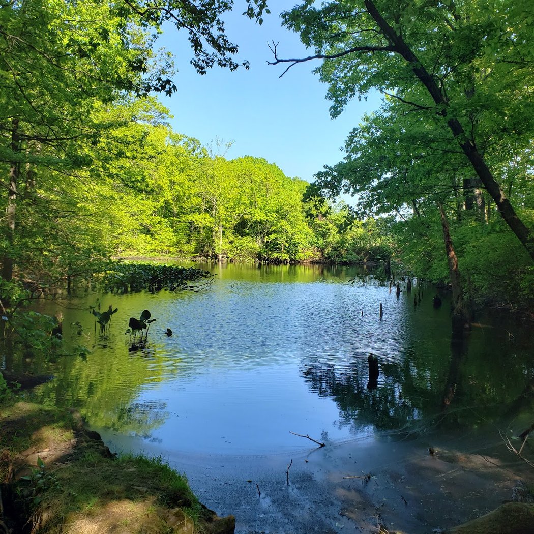 Greenbelt Conservancy Headquarters (High Rock Park) 2