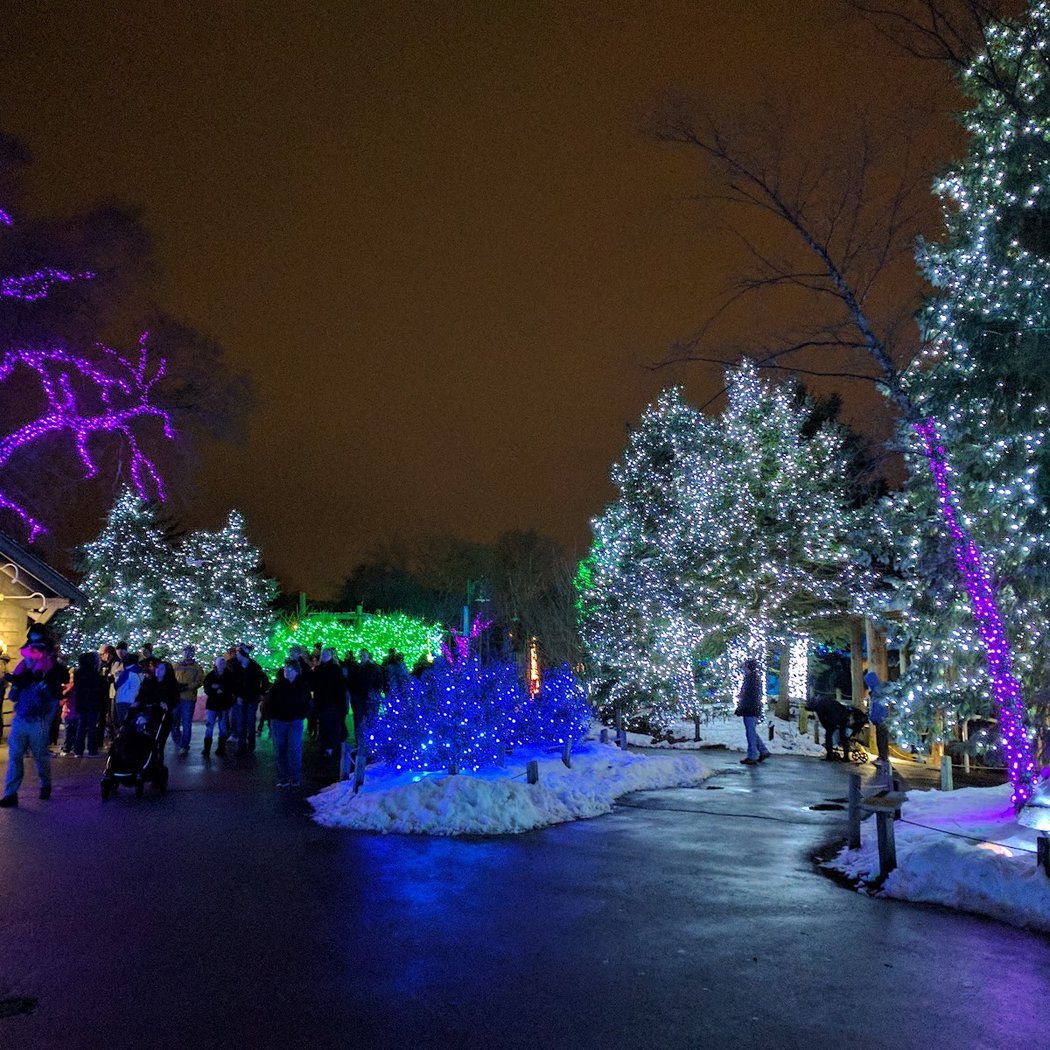 Lights Before Christmas 1