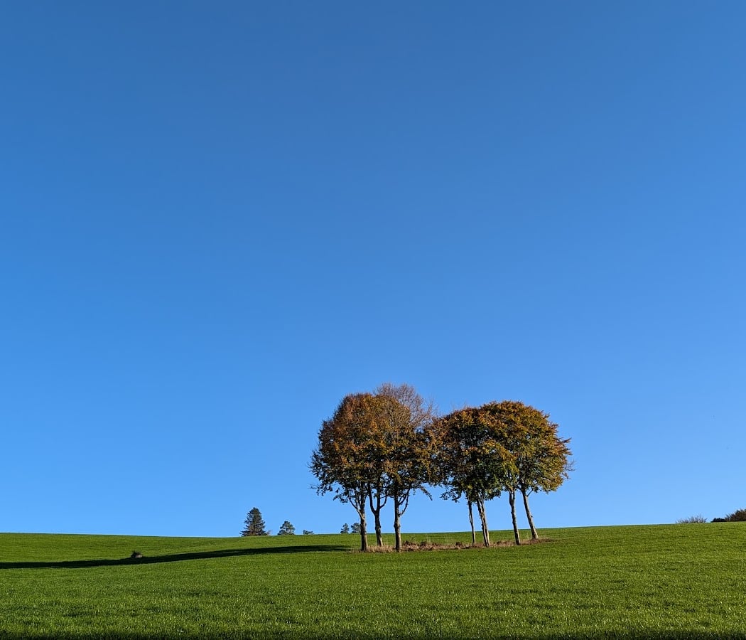 Plateau de Millevaches 3
