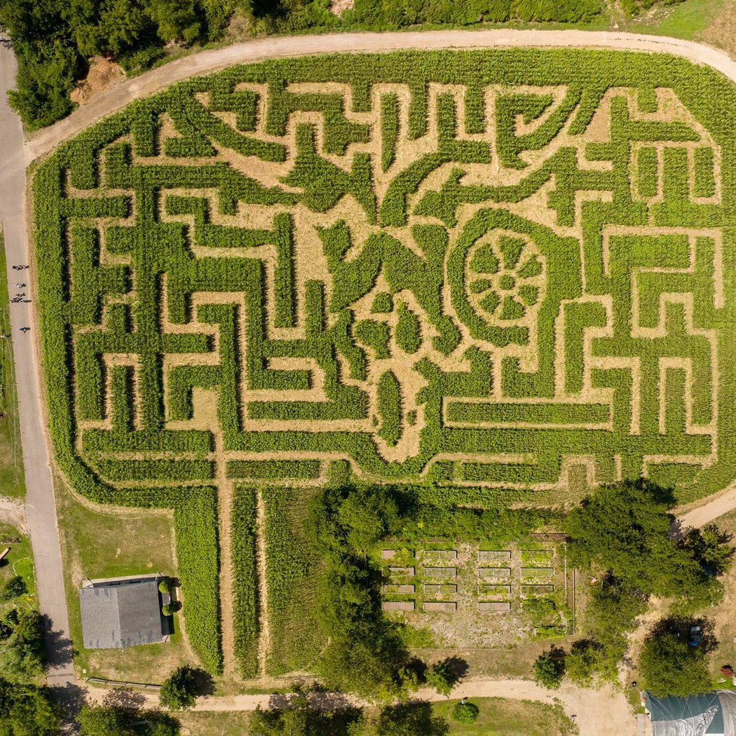 Amazing Maize Maze 2