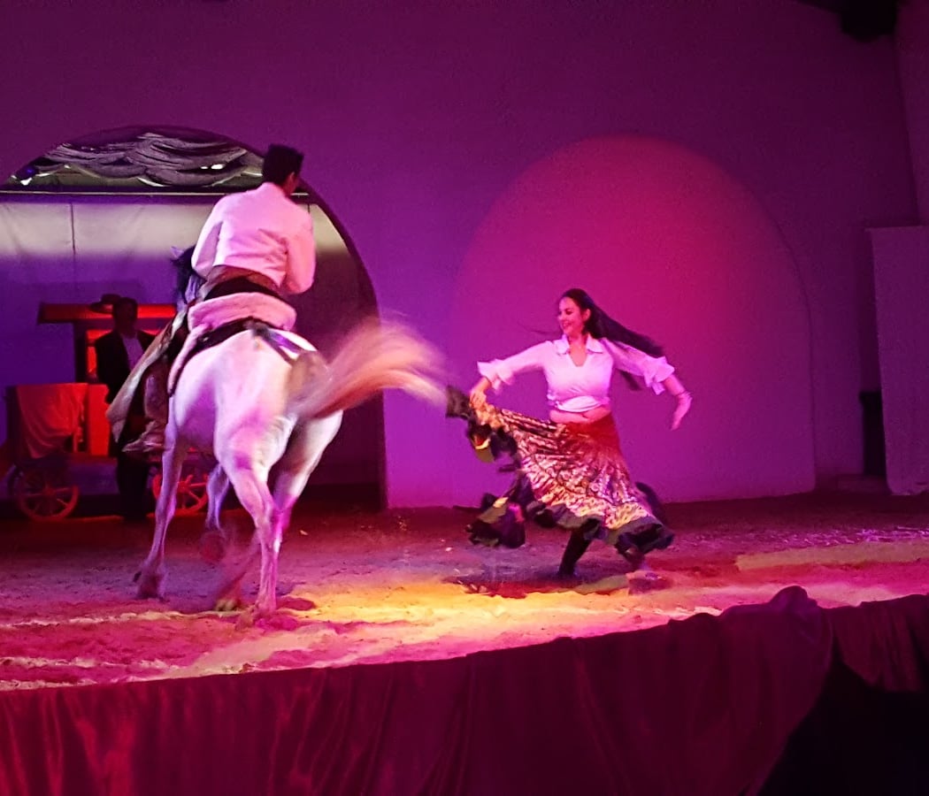 Cabaret Equestre de Camargue 2