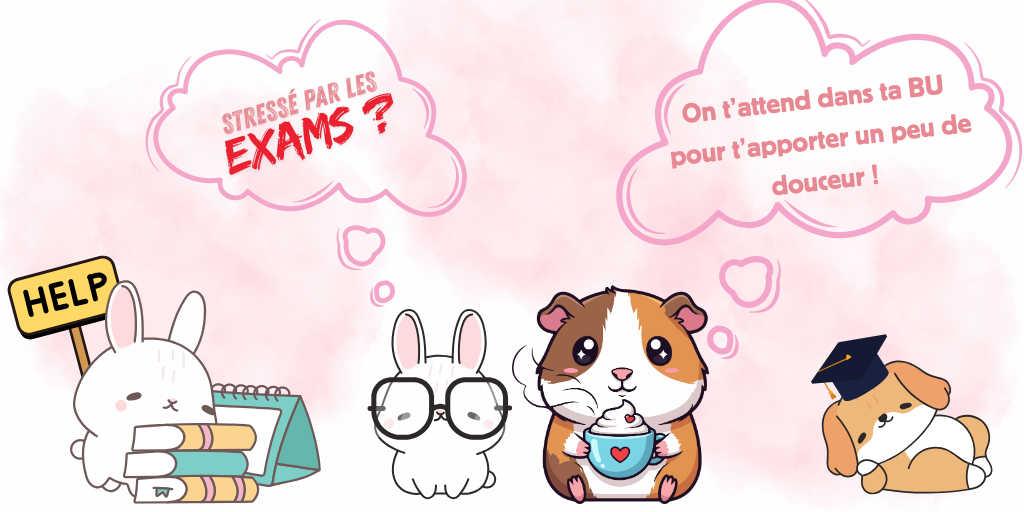 Ateliers pour se détendre avec des animaux 1