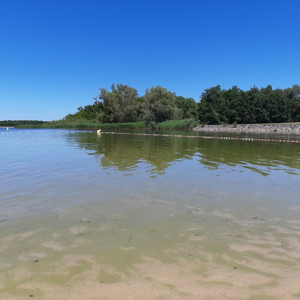Plage de la Presqu'île de Larzicourt 3
