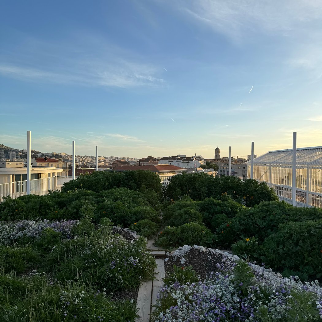 Mediterranean Institute De La Ville Et Des Territoires 3