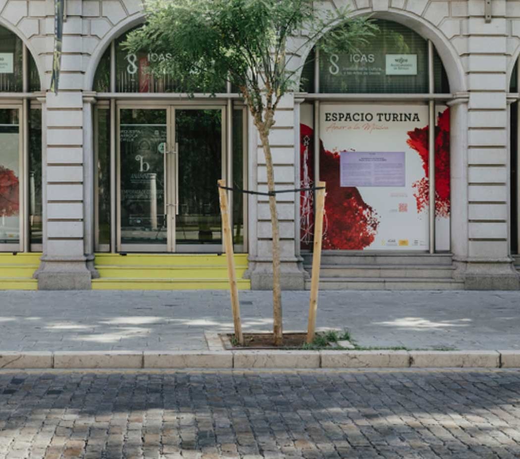Lamenti di donna 2