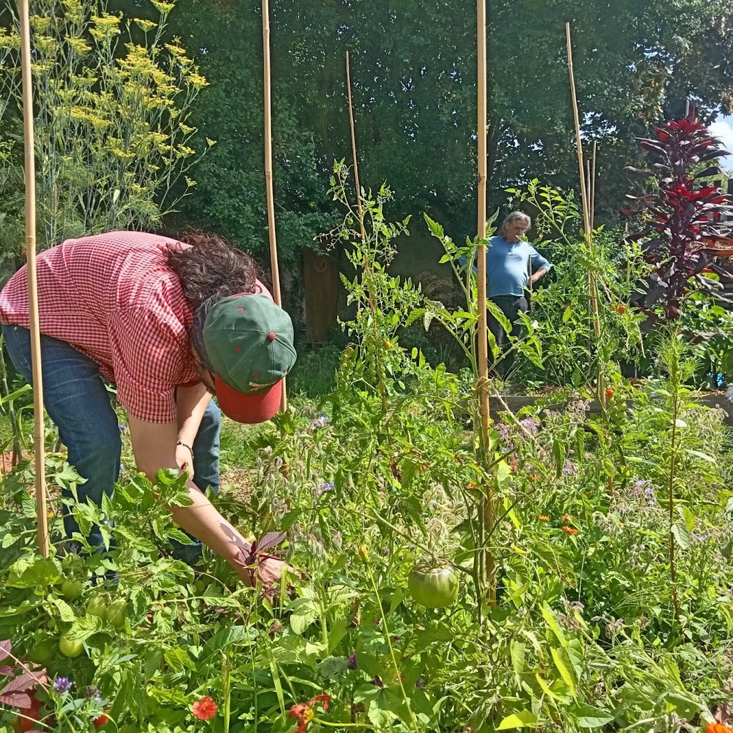 Visite du jardin et atelier nichoir 2