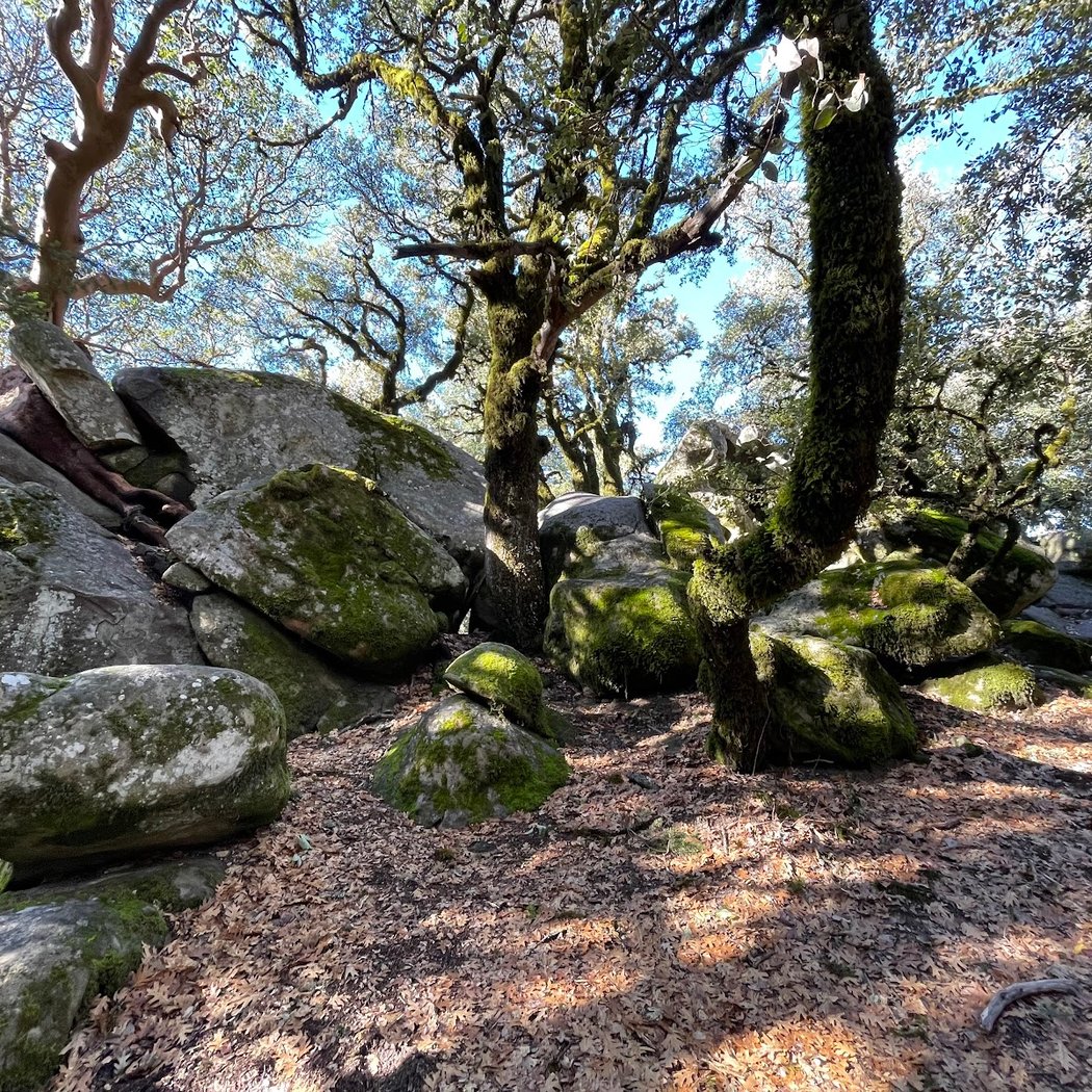Castle Rock 3