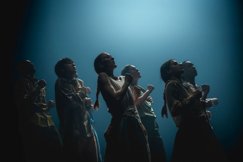SHECHTER II In the Brain 2