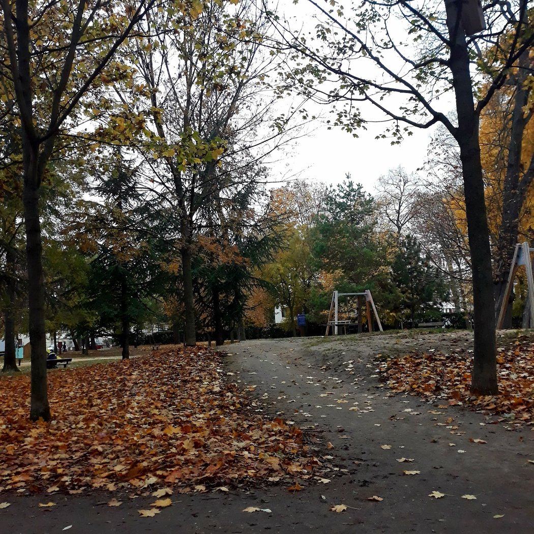 Parc Guérin 1