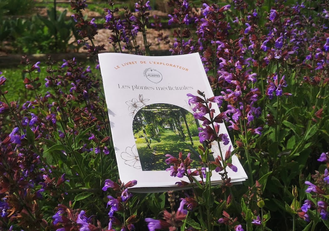 Conservatoire National des Plantes à Parfum, Médicinales et Aromatiques 1
