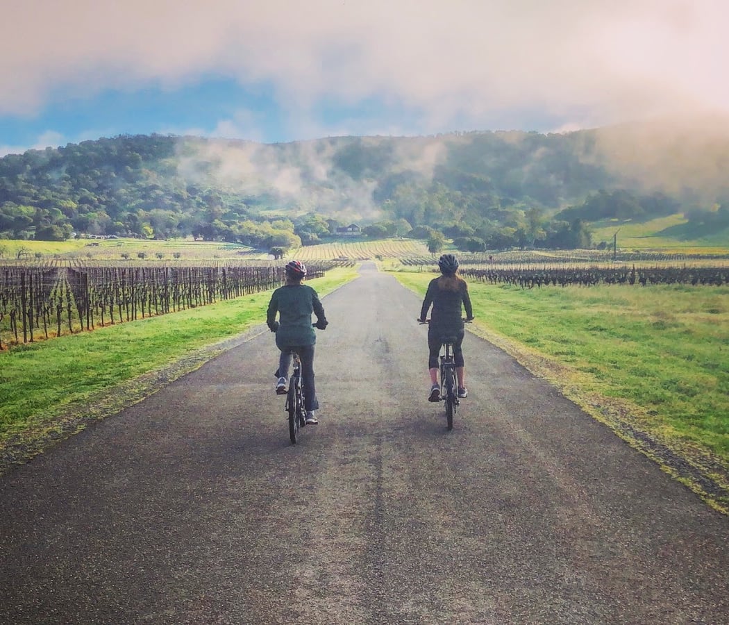 Sonoma Valley Bike Tours & Rentals 3