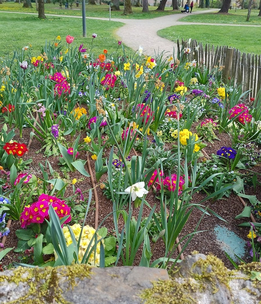 Parc de la Bourgonnière 3