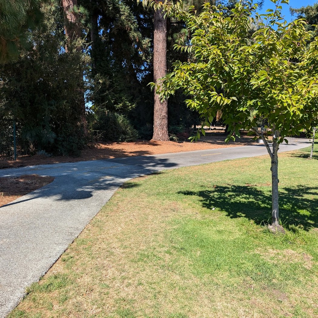 El Camino Park 3