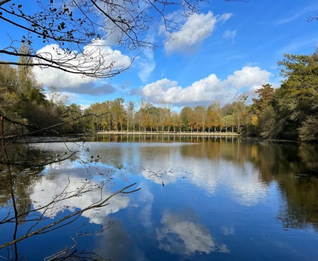 Malmaison Forest 5