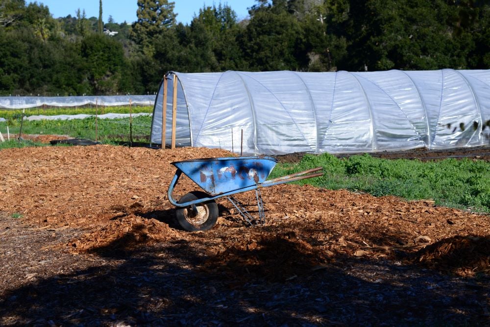 Composting 101 1