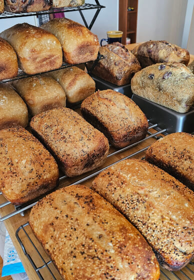 Breaducation SF 2