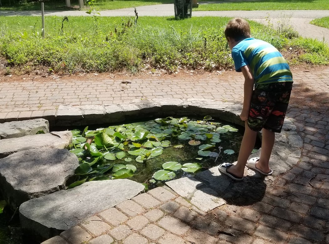 Homeschool Program, Earth Day 1