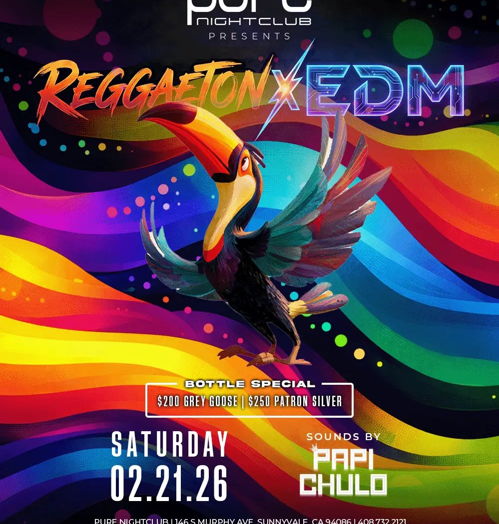 Reggaeton x EDM 1