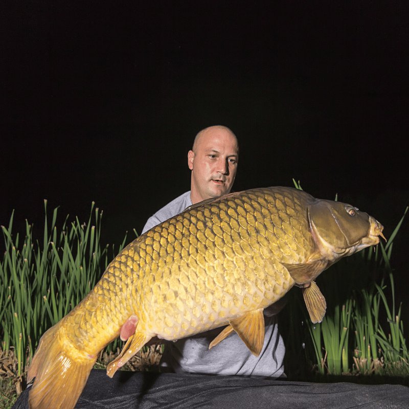 Late Night Fishing at Simpson Park 2