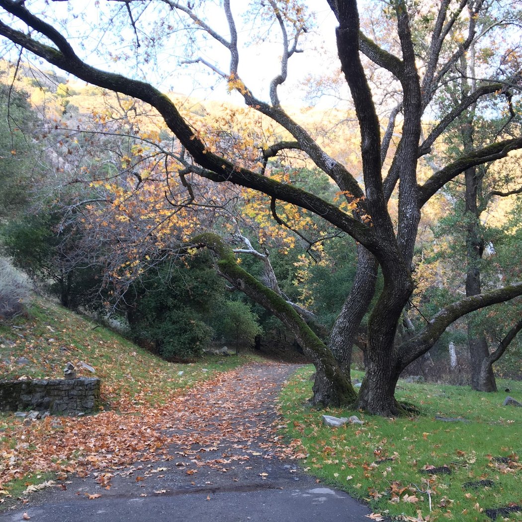 Eagle Rock 1