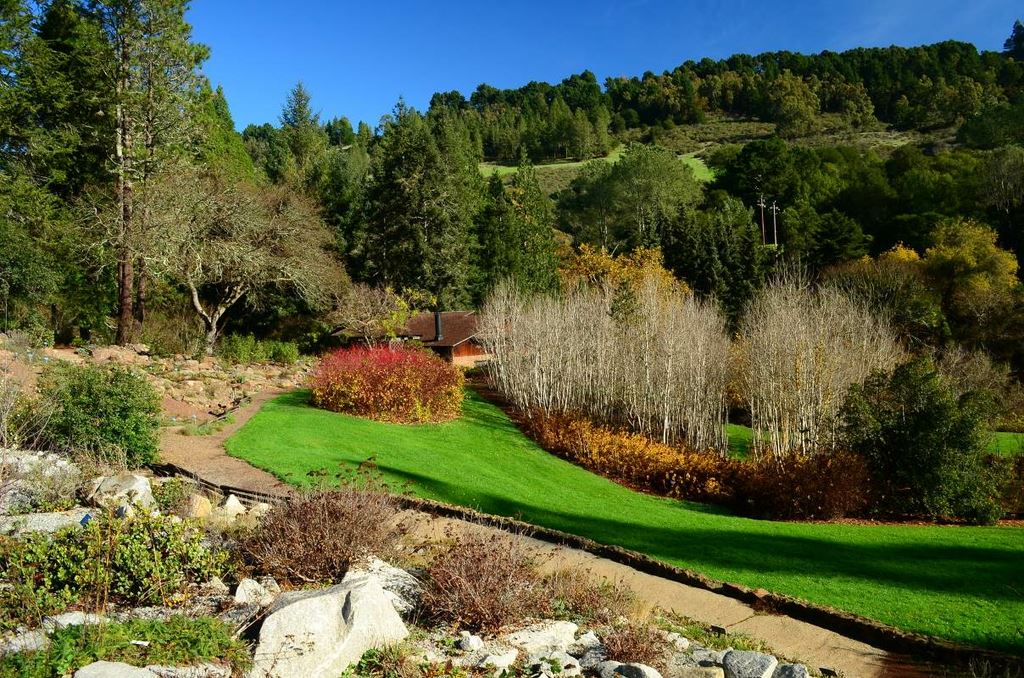 Docent-led tour of Tilden Regional Parks Botanic Garden