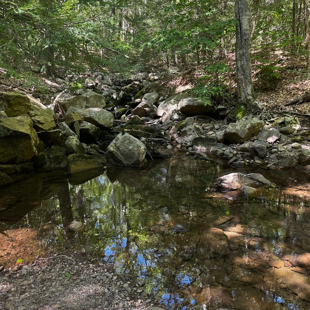 Black Rock - Mineral Springs Hiking trail 3
