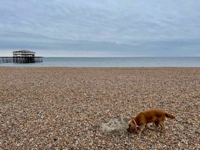 Hove Beach 1