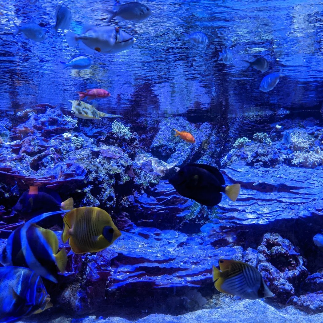 Acquario Civico e Stazione Idrobiologica di Milano 1