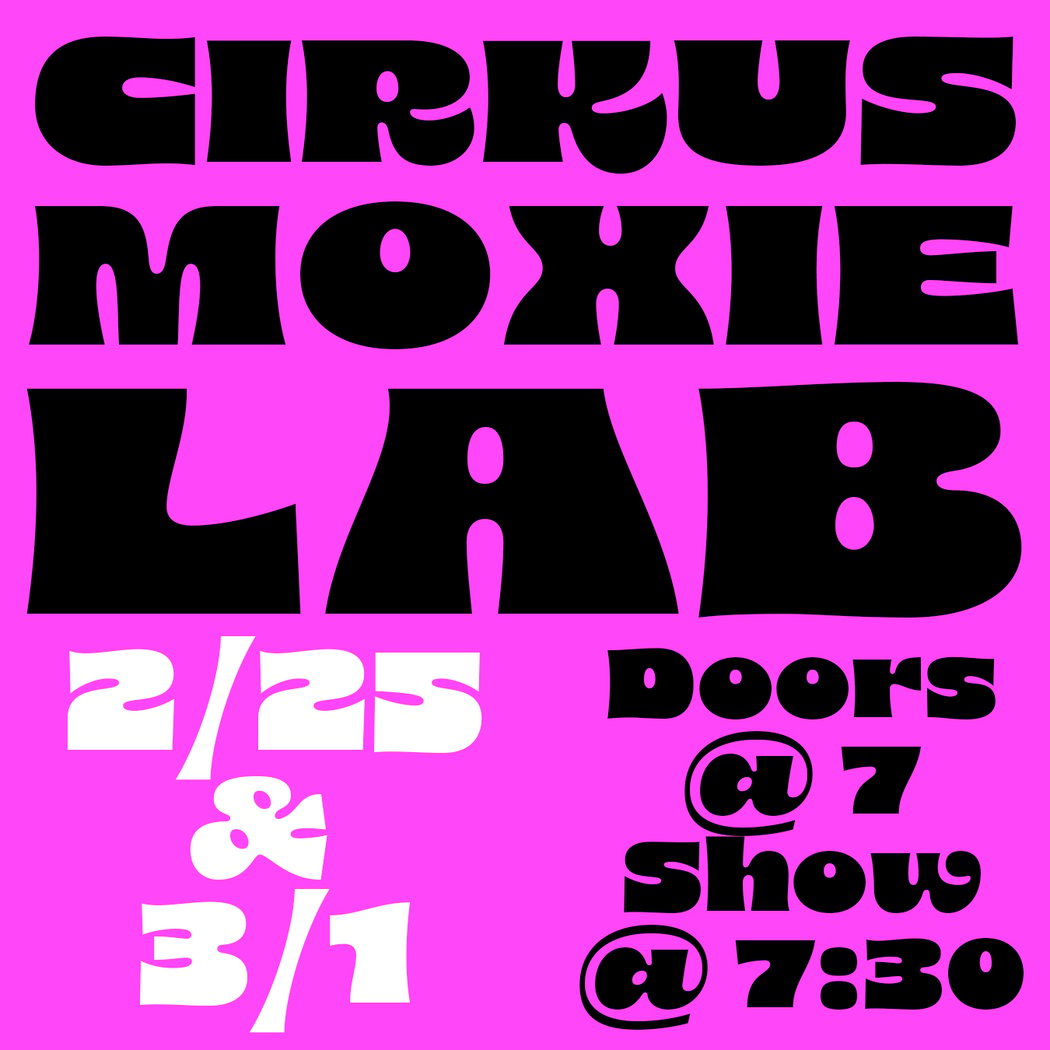 a variety show of circus and circus adjacent work 1
