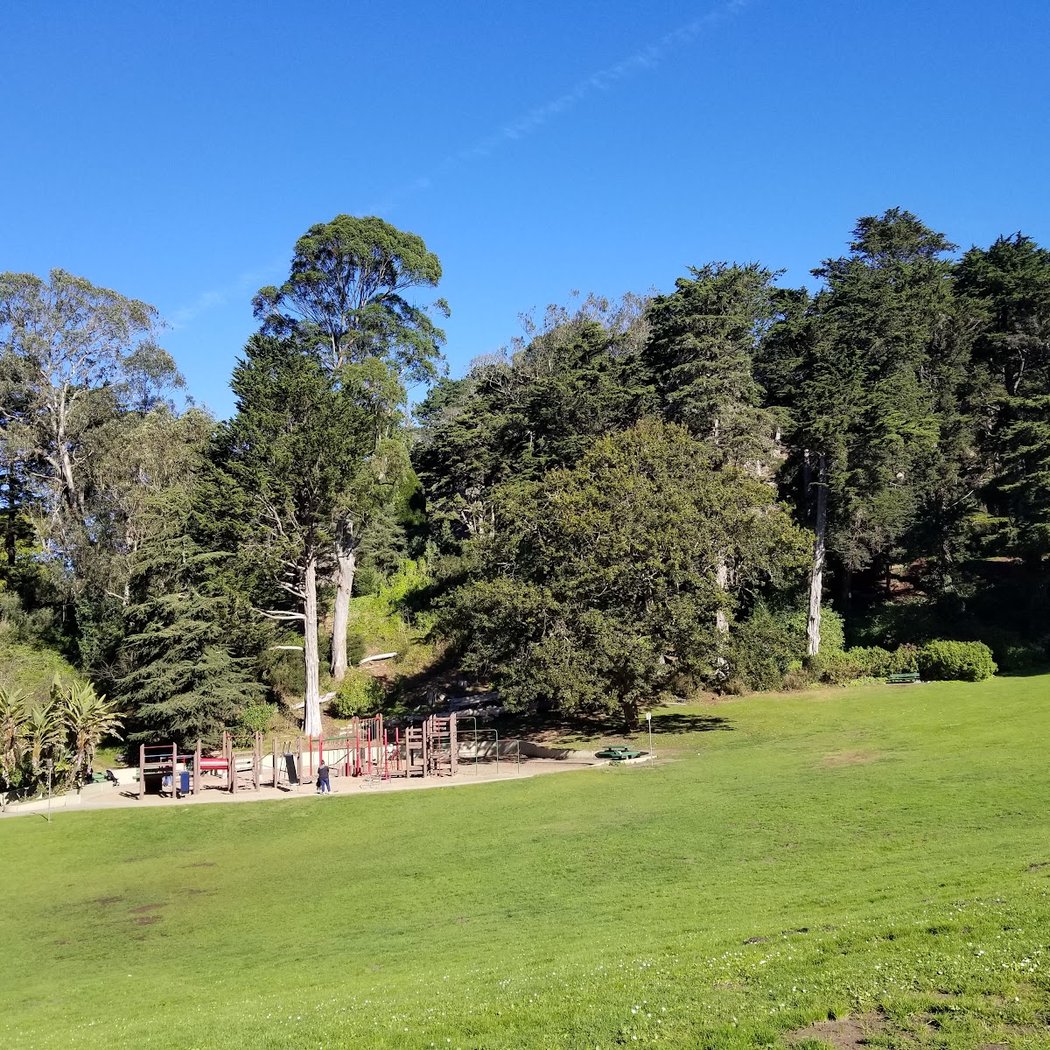 Community Singing in the Park 2