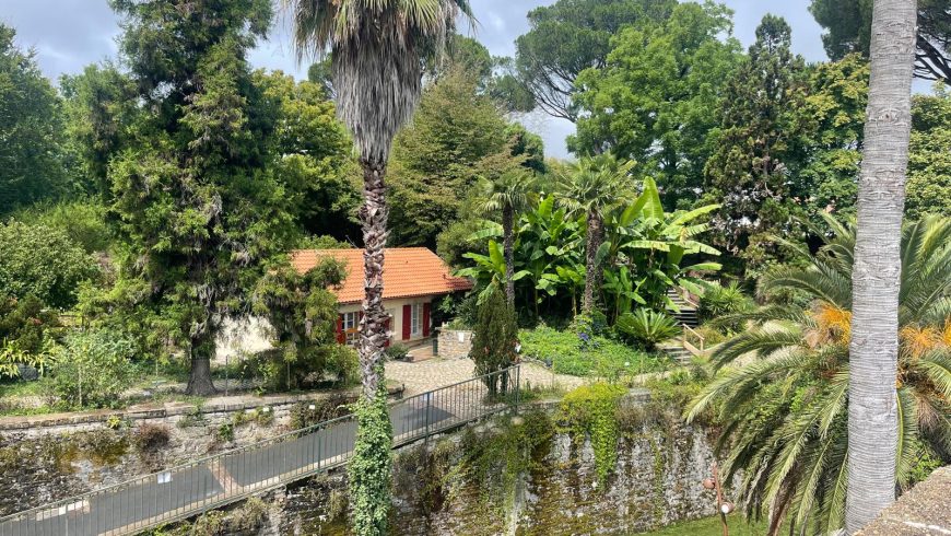 Bayonne Botanical Garden 4