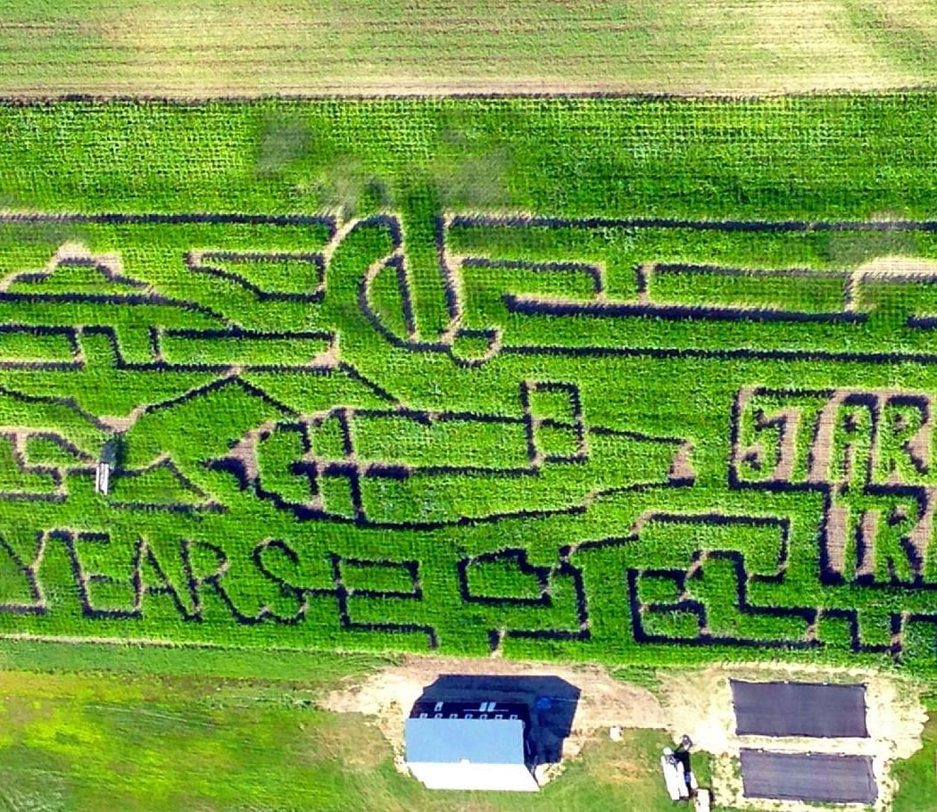 Sauchuk's Corn Maze & Pumpkin Patch 1