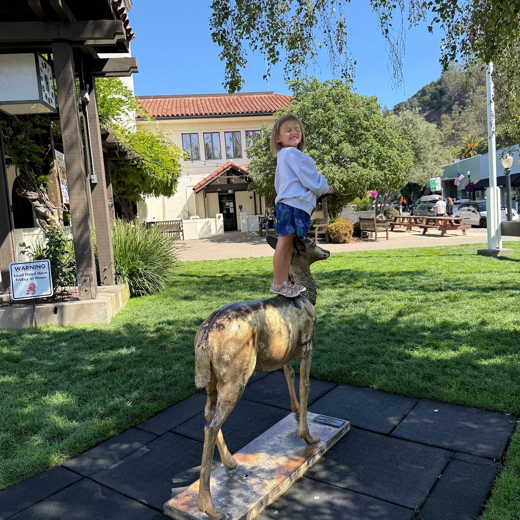 San Anselmo Live on the Avenue 4