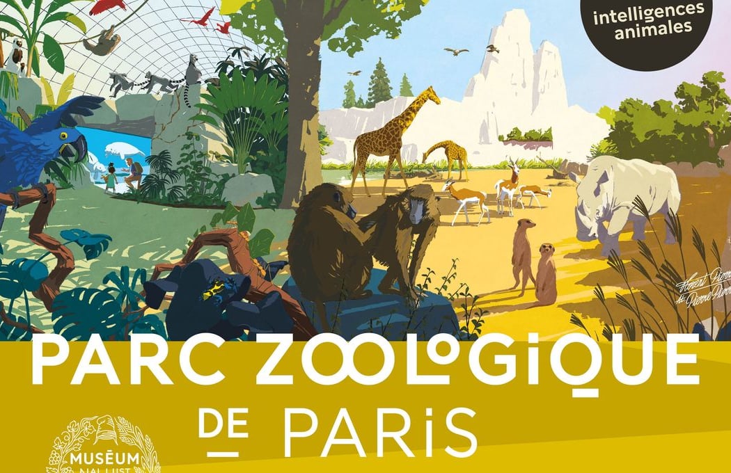 Intelligences Animales 1