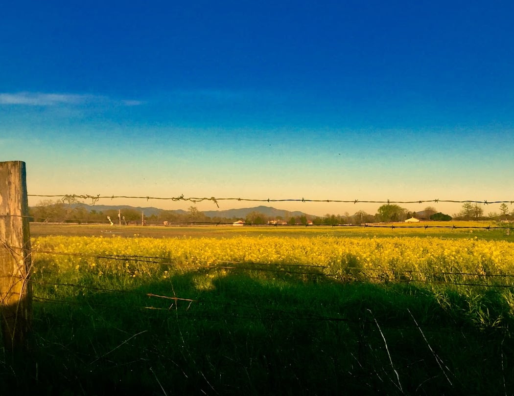 Laguna de Santa Rosa 3