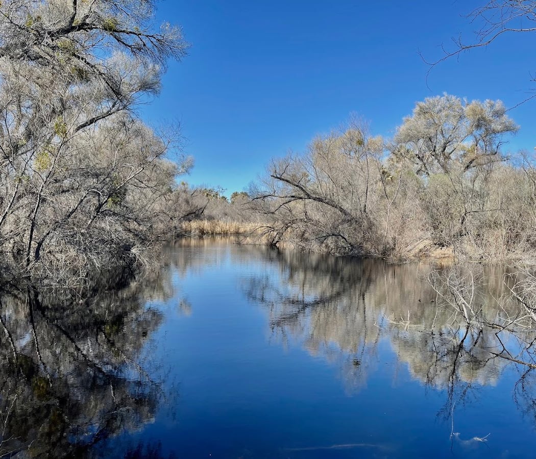 Hassayampa River Preserve 2