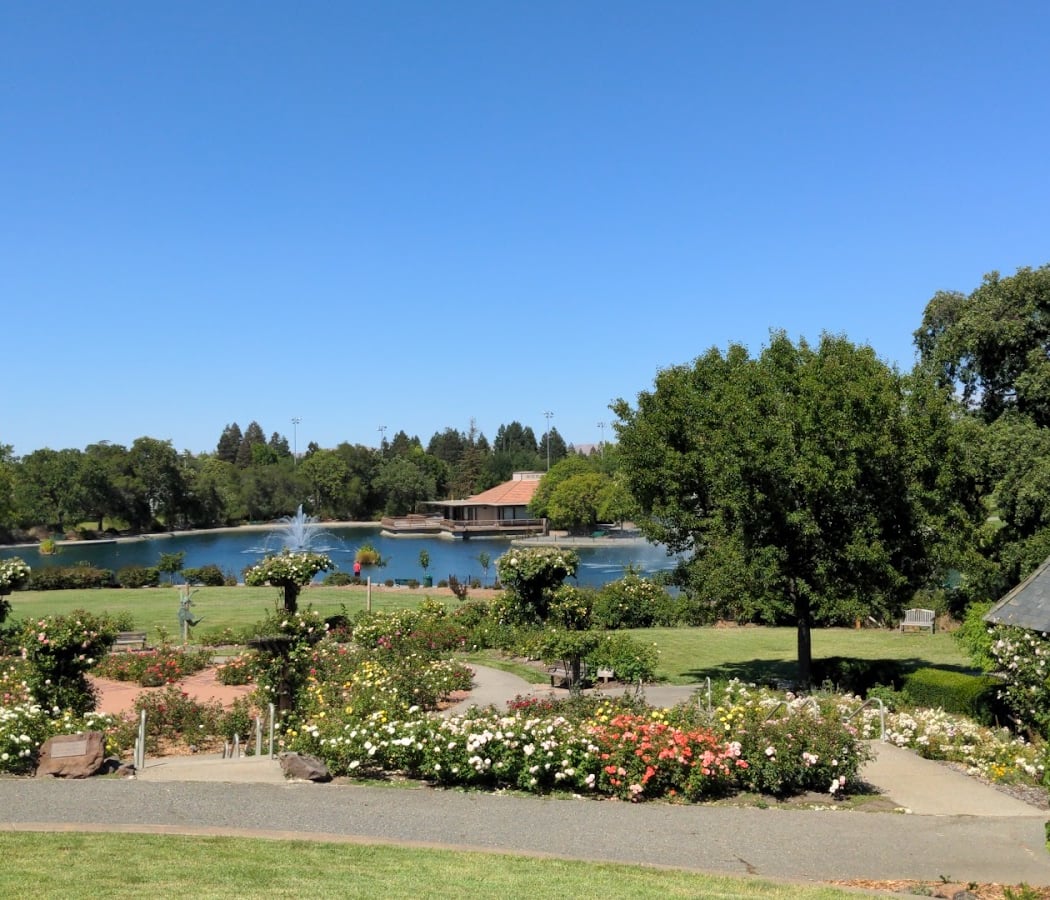 Walnut Creek Garden Club Monthly Meeting 3