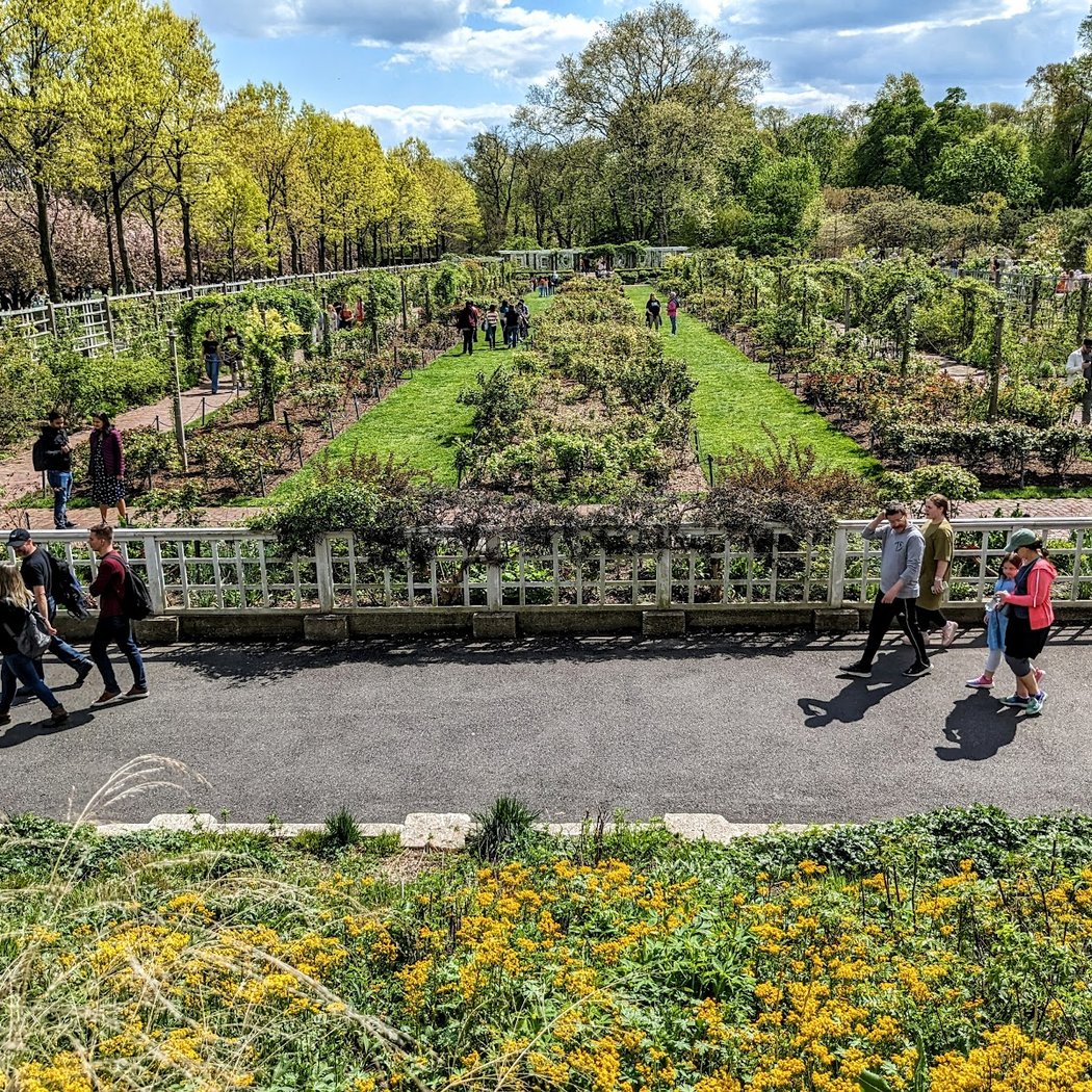 Robert W. Wilson Overlook 3