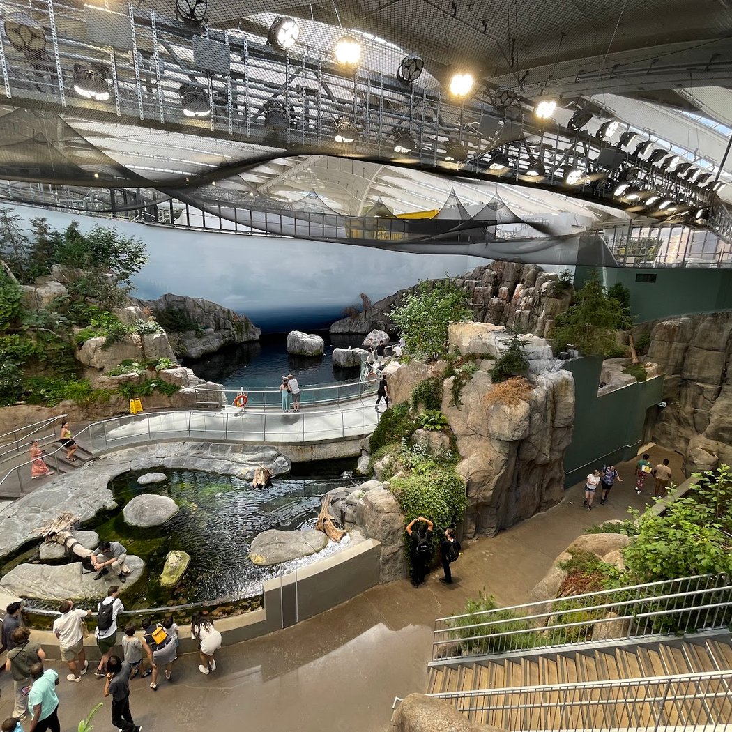 Montreal Biodome 2