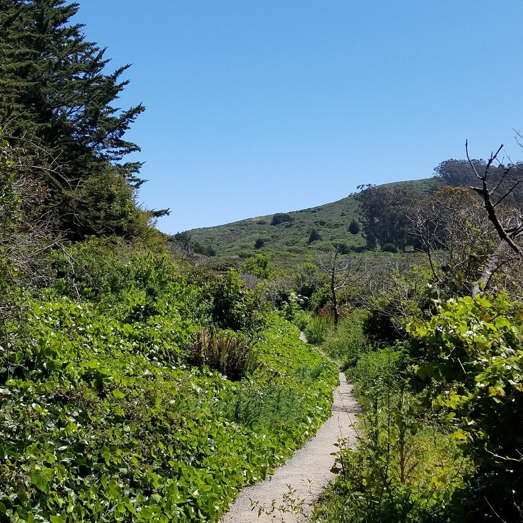 Crocker Gate Trailhead 1
